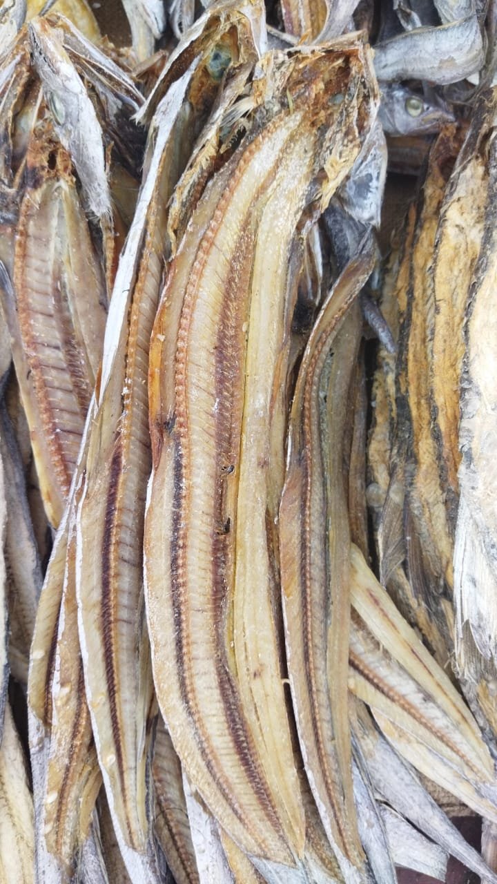 வாளை கருவாடு