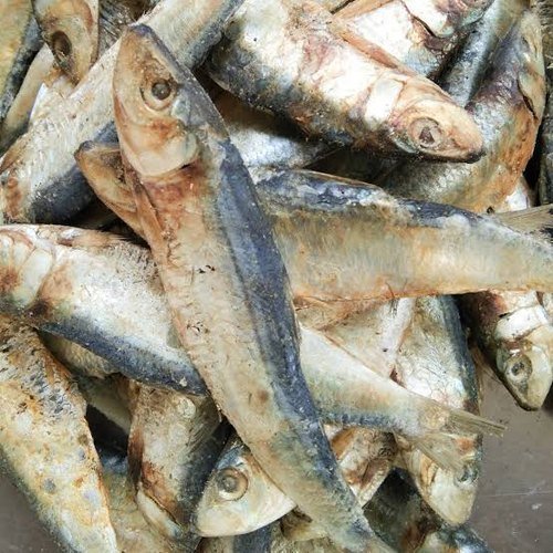 மத்தி கருவாடு